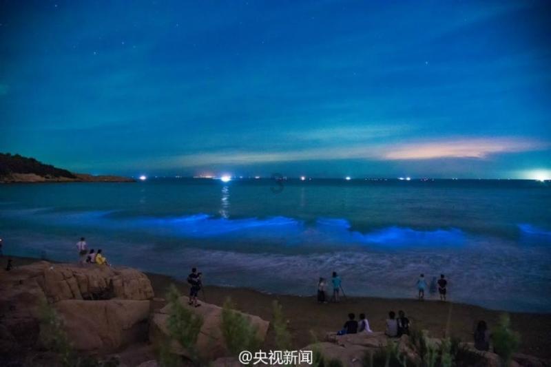 小公主大改造